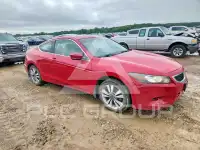2010 Honda Accord фото