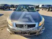 2010 Honda Accord фото