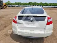 2010 Honda Accord фото