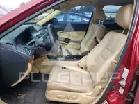 2010 Honda Accord фото
