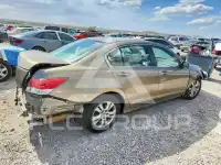2010 Honda Accord фото