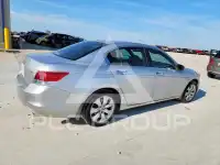 2010 Honda Accord фото