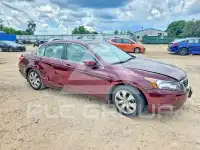2010 Honda Accord фото