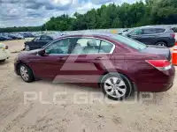 2010 Honda Accord фото