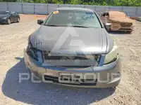 2010 Honda Accord фото