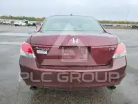 2010 Honda Accord фото