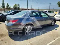 2010 Honda Accord фото