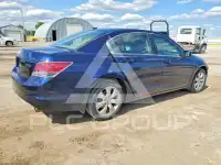 2010 Honda Accord фото