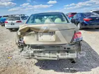 2010 Honda Accord фото