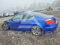 2010 Honda Accord фото