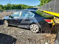 2010 Honda Accord фото