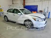 2010 Honda Accord фото