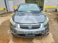2010 Honda Accord фото