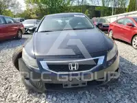 2010 Honda Accord photo