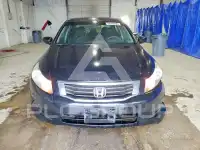 2010 Honda Accord фото