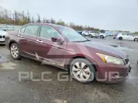 2010 Honda Accord фото