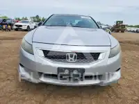 2010 Honda Accord photo