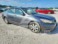 2010 Honda Accord фото