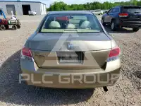 2010 Honda Accord фото