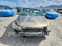 2010 Honda Accord фото