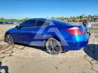2010 Honda Accord photo