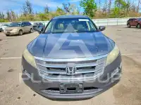 2010 Honda Accord фото