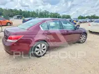 2010 Honda Accord фото