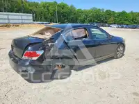 2010 Honda Accord фото