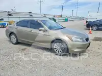 2010 Honda Accord фото