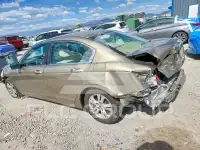 2010 Honda Accord фото