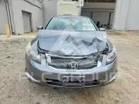 2010 Honda Accord photo