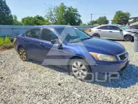 2010 Honda Accord фото