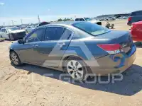 2010 Honda Accord фото