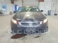 2010 Honda Accord фото