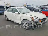2010 Honda Accord фото
