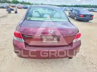 2010 Honda Accord фото