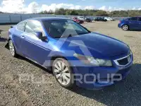 2010 Honda Accord фото