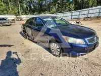 2010 Honda Accord фото