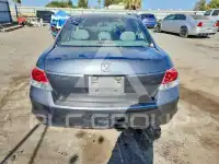 2010 Honda Accord photo