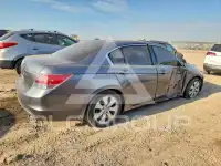 2010 Honda Accord фото