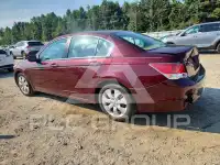 2010 Honda Accord фото