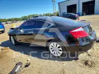 2010 Honda Accord photo