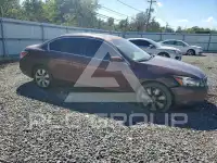 2010 Honda Accord photo