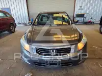 2010 Honda Accord фото