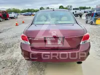 2010 Honda Accord photo