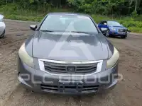 2010 Honda Accord фото