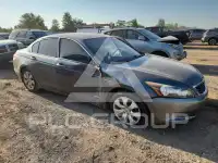 2010 Honda Accord фото
