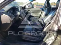 2010 Honda Accord фото