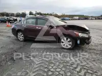 2010 Honda Accord фото