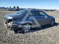 2010 Honda Accord photo